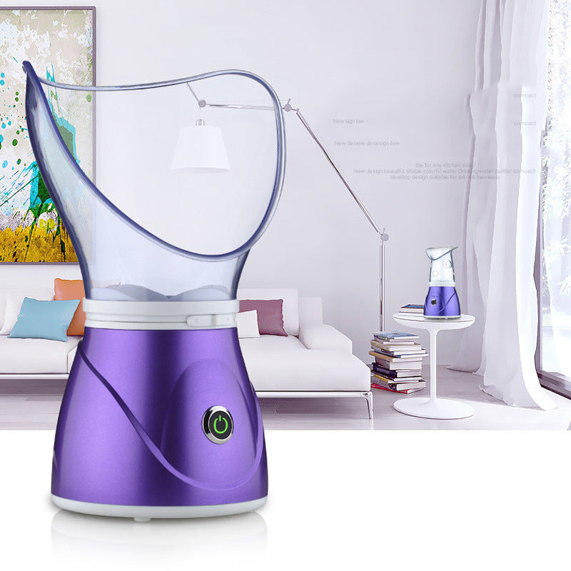 Vaporisateur facial anionique