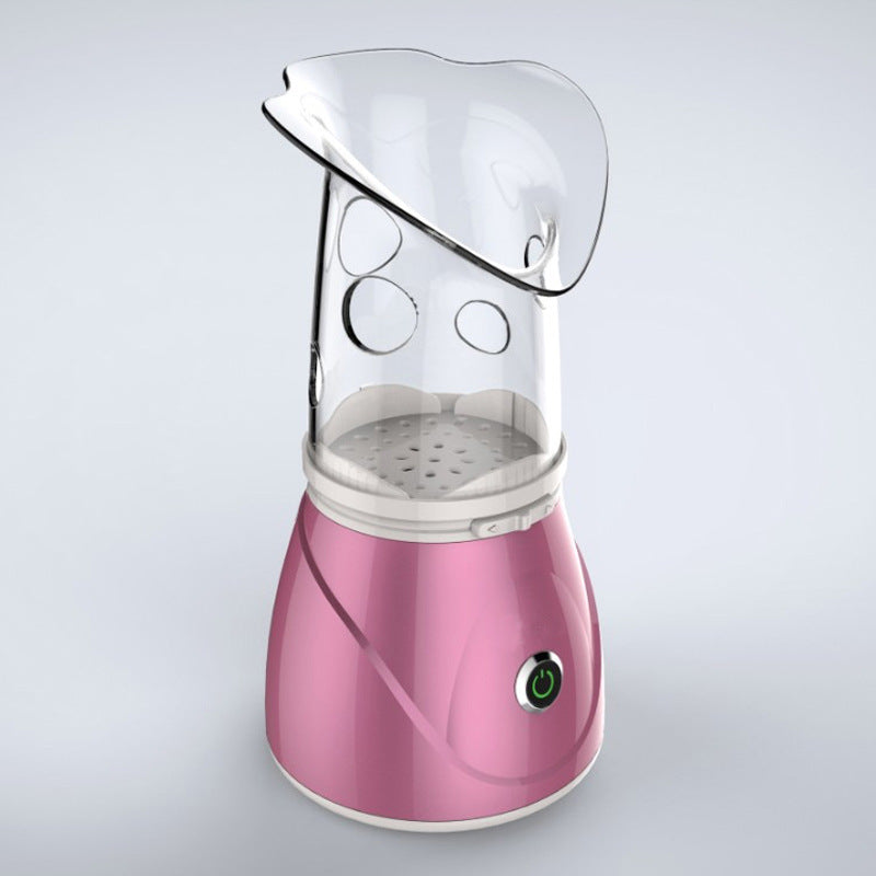 Vaporisateur facial anionique